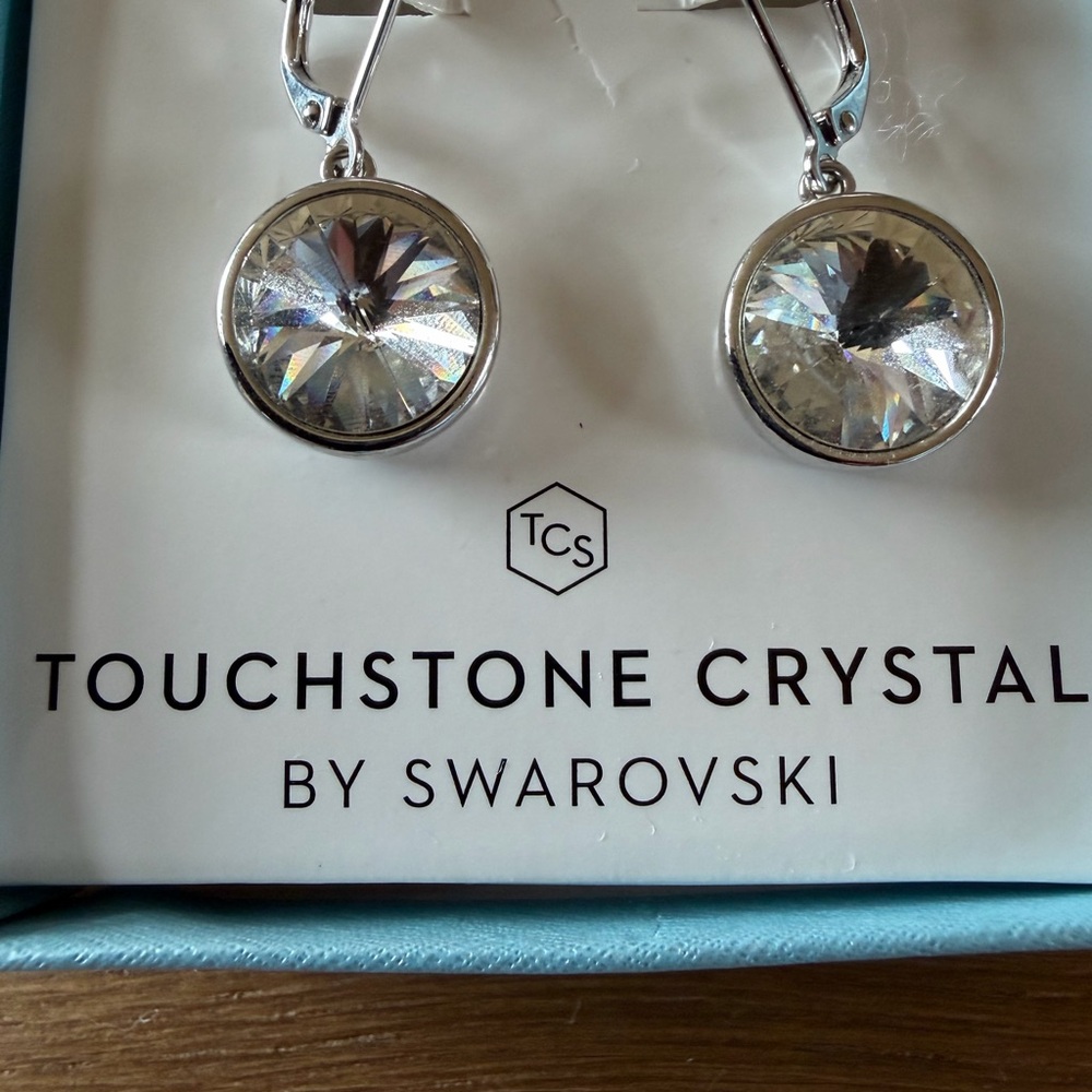 Touchstone Crystal Silver Earrings with Sparkling Accents - Picture 3 of 6